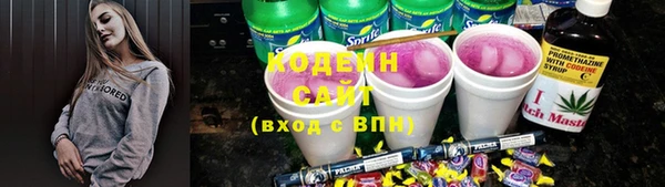 2c-b Пестово