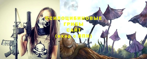 твердый Балахна
